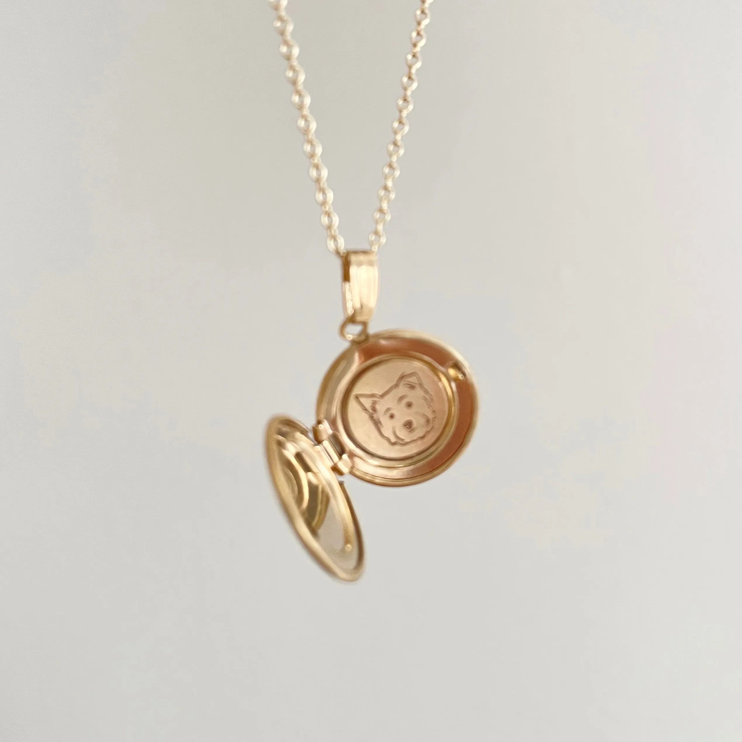 14k Yellow Gold Petite Silhouette Locket Necklace