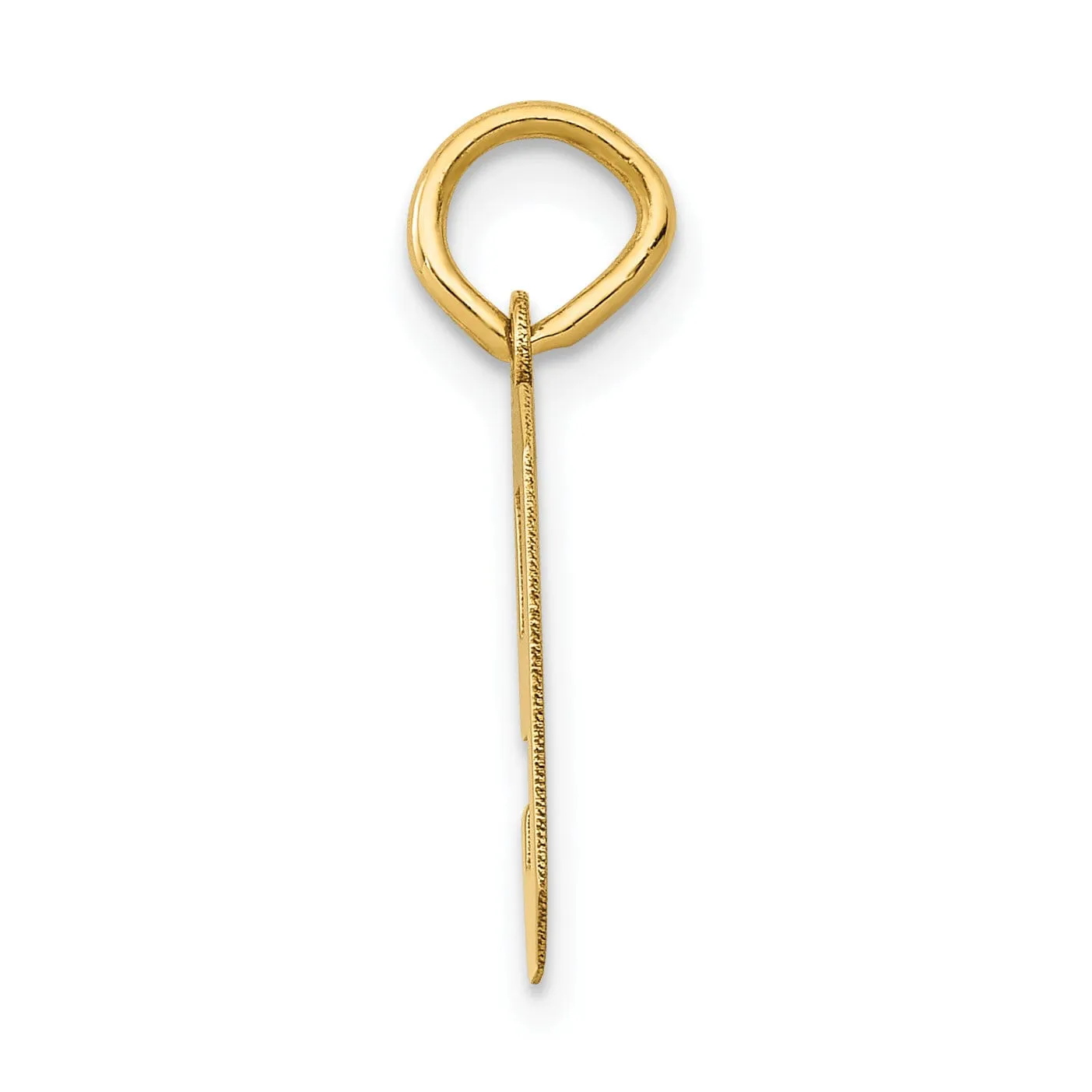 14k Yellow Gold Polished Finish Small Size Number 9 Charm Pendant