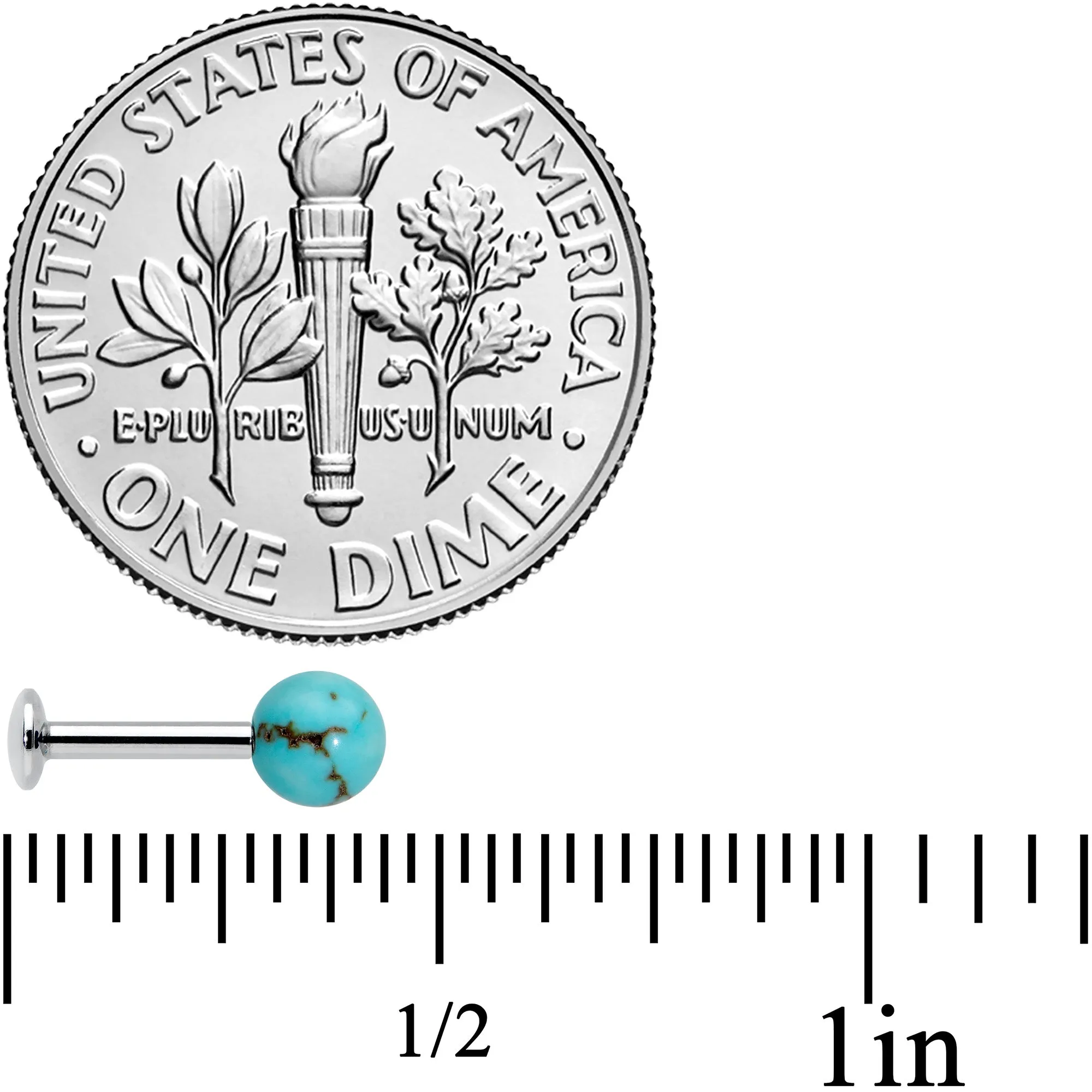 16 Gauge 1/4 Elegant Blue Turquoise Internally Threaded Labret Tragus
