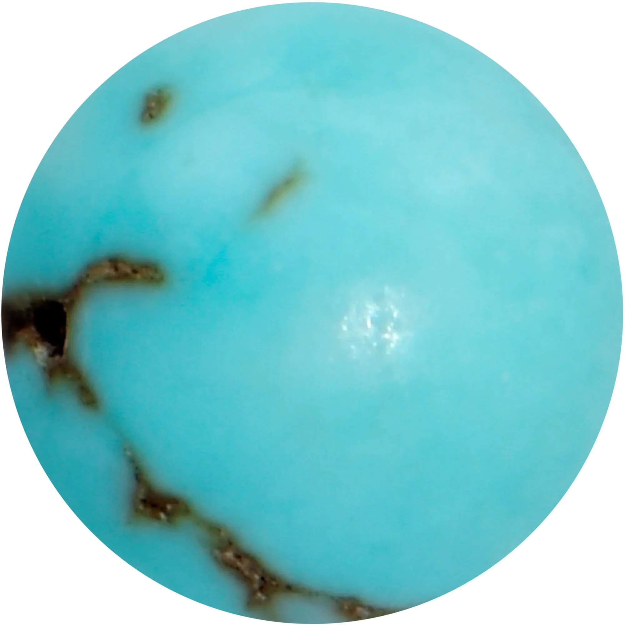 16 Gauge 1/4 Elegant Blue Turquoise Internally Threaded Labret Tragus