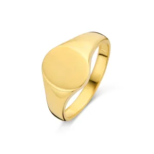 Bague chevalière - Or Jaune (062033)