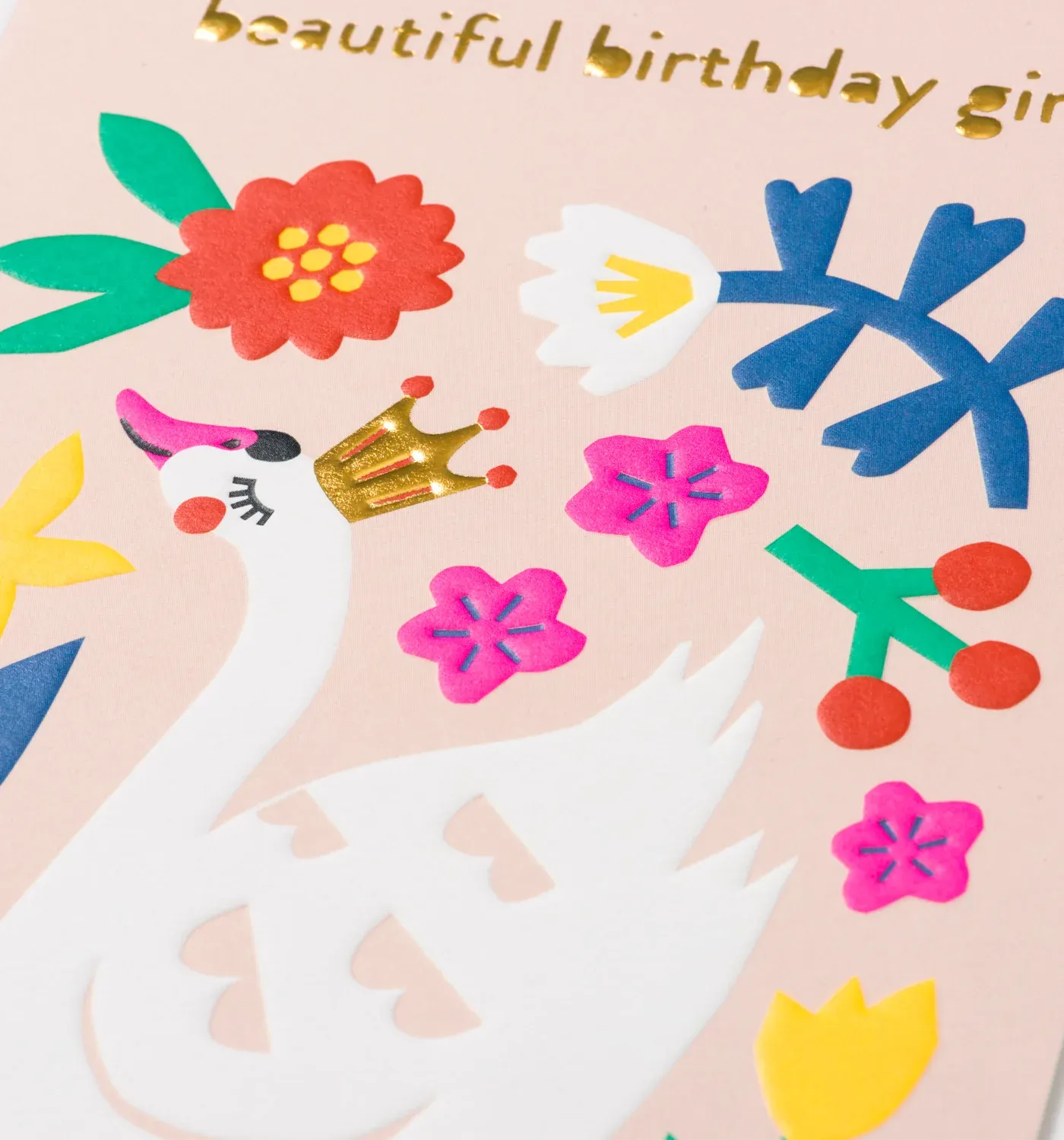 Beautiful Birthday Girl Swan