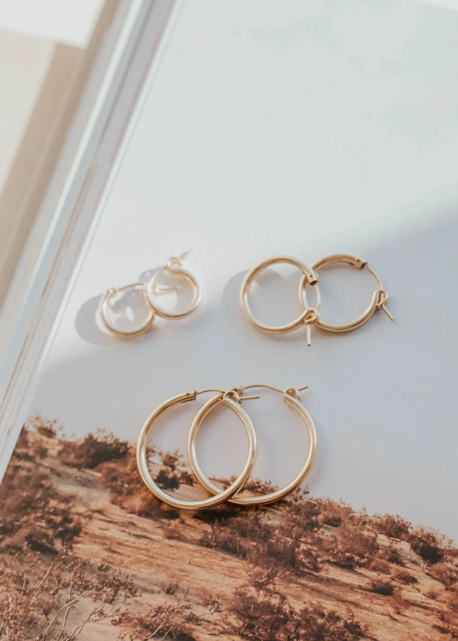 Bold Hoops