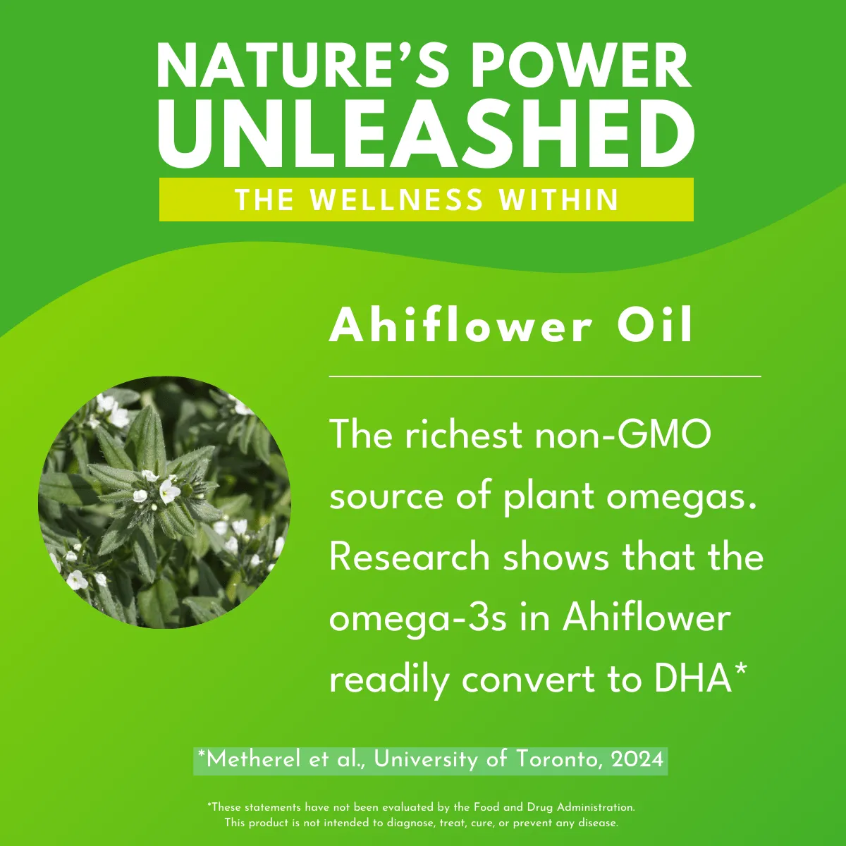 Bold Plant Omega 3-6-9