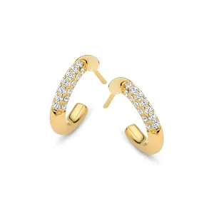 Boucles d'oreilles Naiomy - Plaqué or et zircons (N3W62)