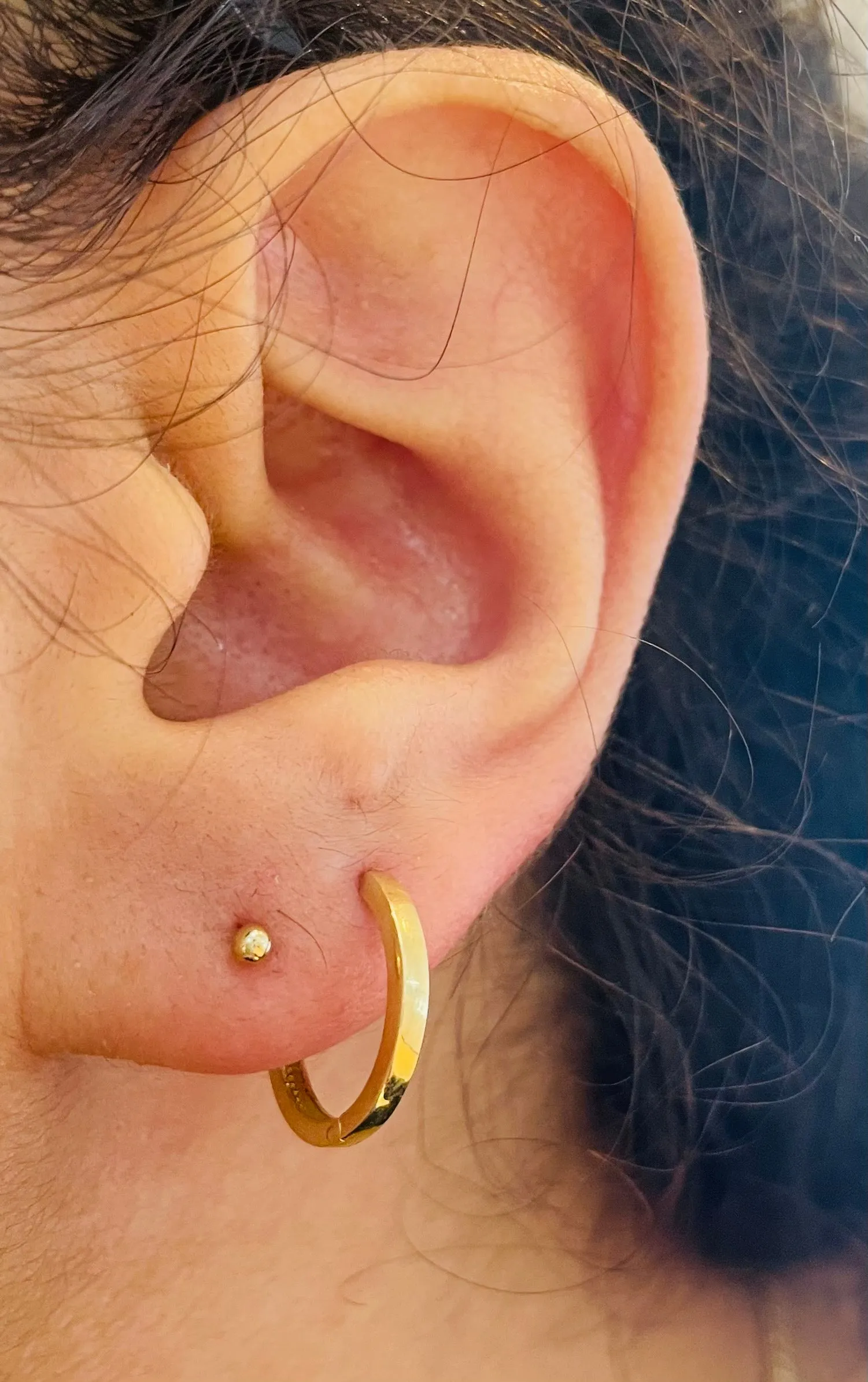 Bright Dormilona Earrings - 61816