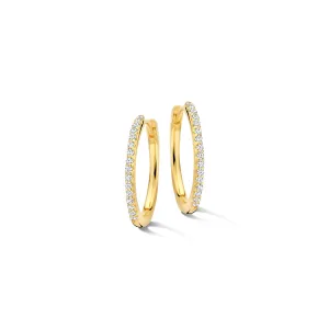 Créoles Boucles d'oreilles Naiomy - Plaqué or zircons (N5E73)