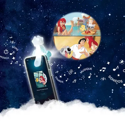 Disney Princess Collection