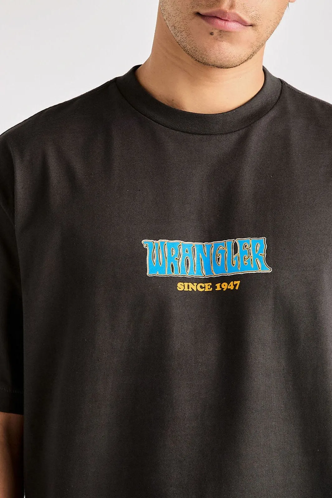 Fangs Boxcar Tee | Worn Black