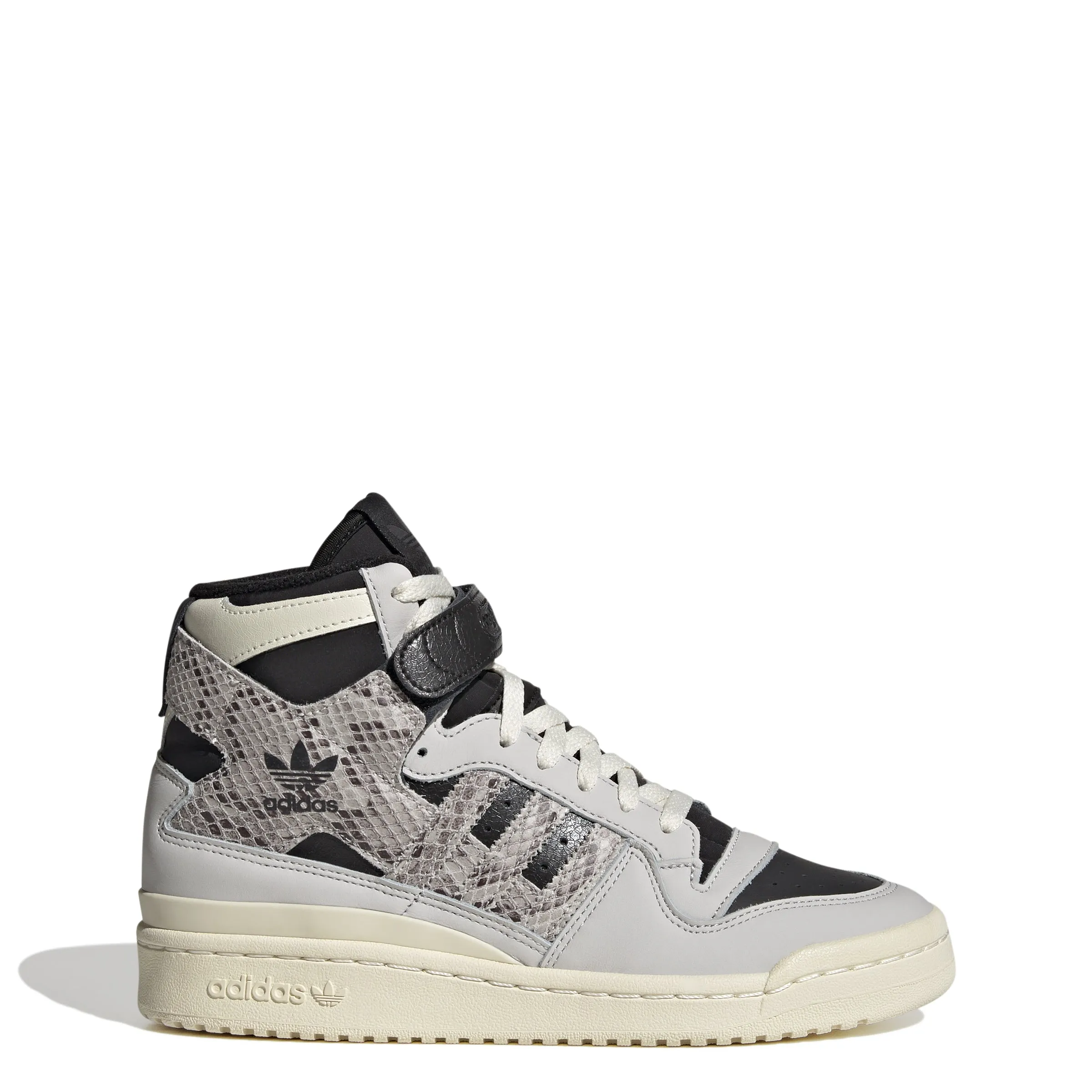 FORUM BOLD W