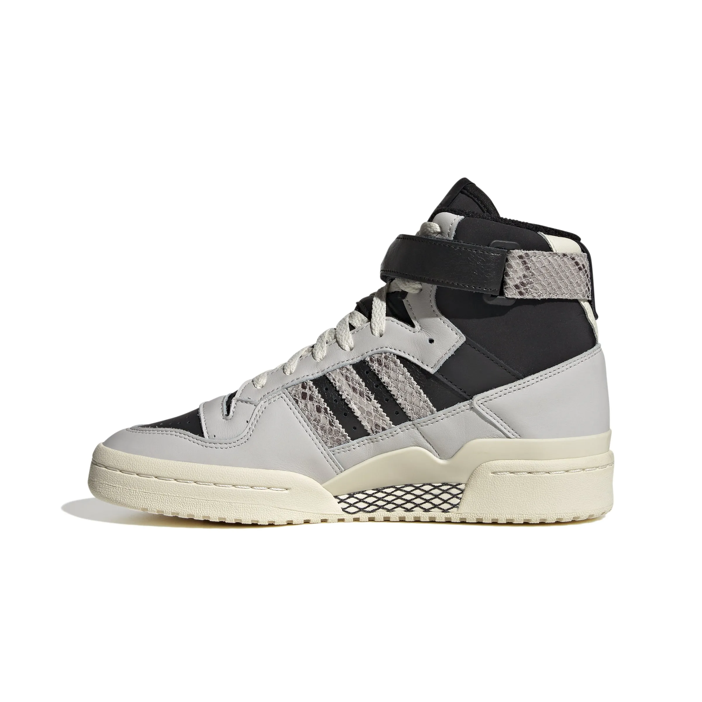 FORUM BOLD W