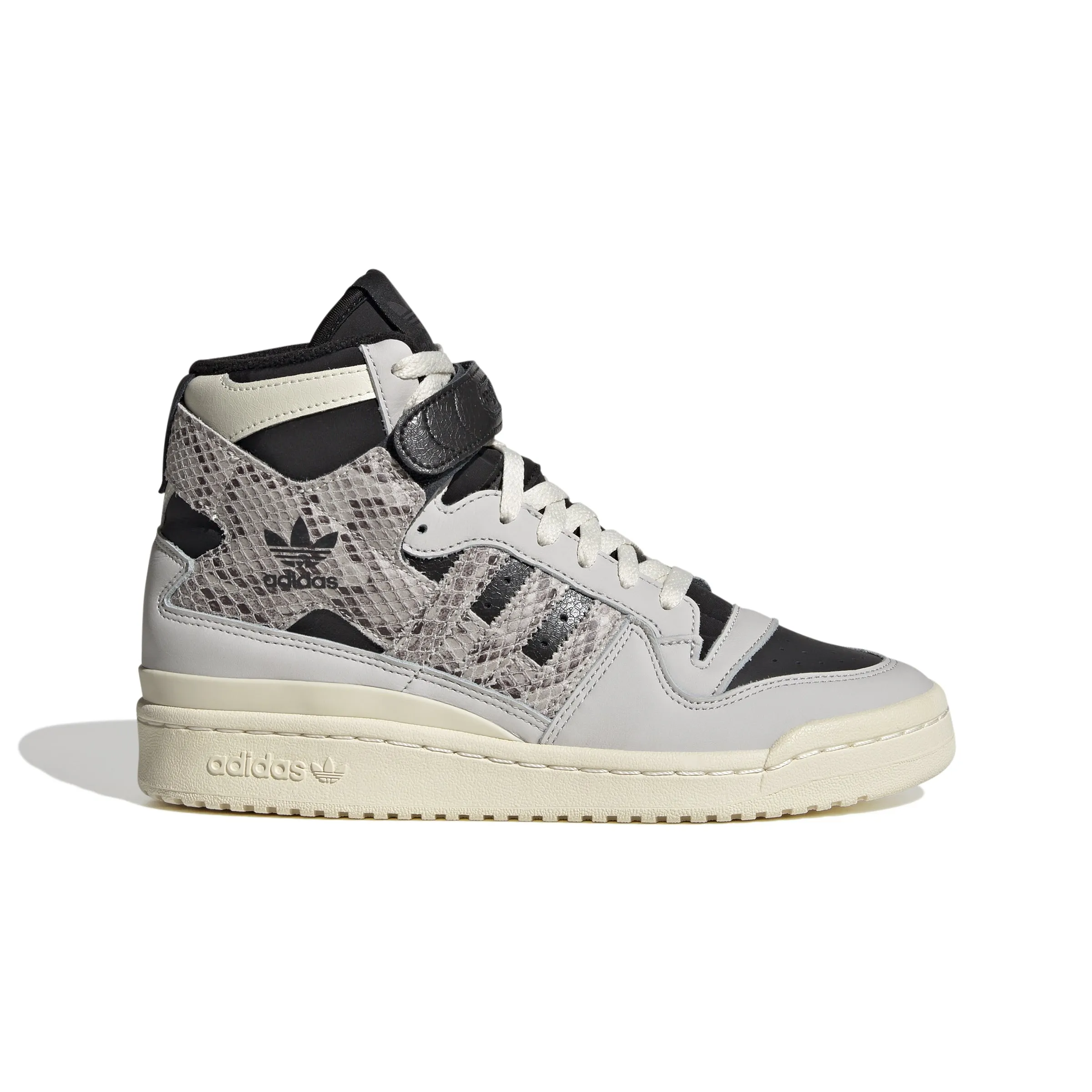 FORUM BOLD W