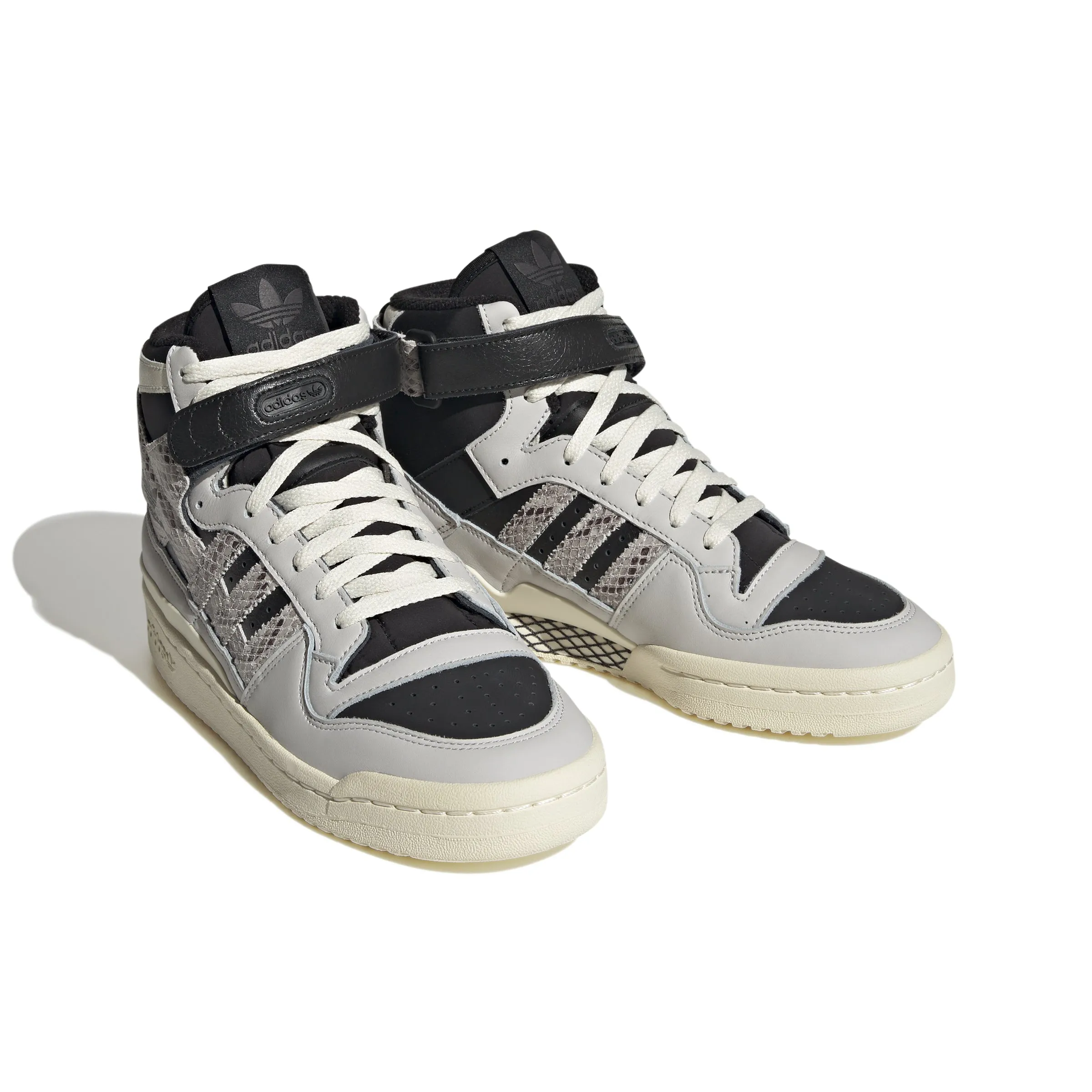 FORUM BOLD W