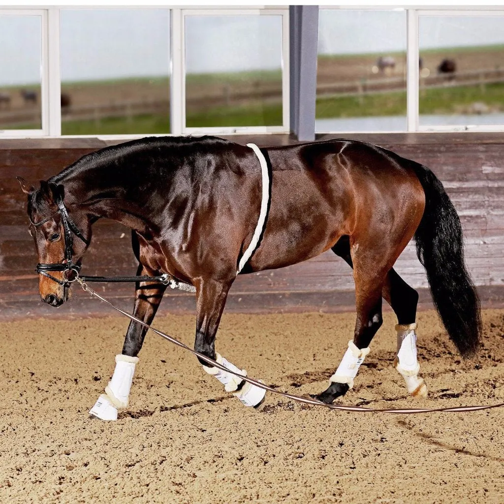HorseGuard soft longeringshjælp