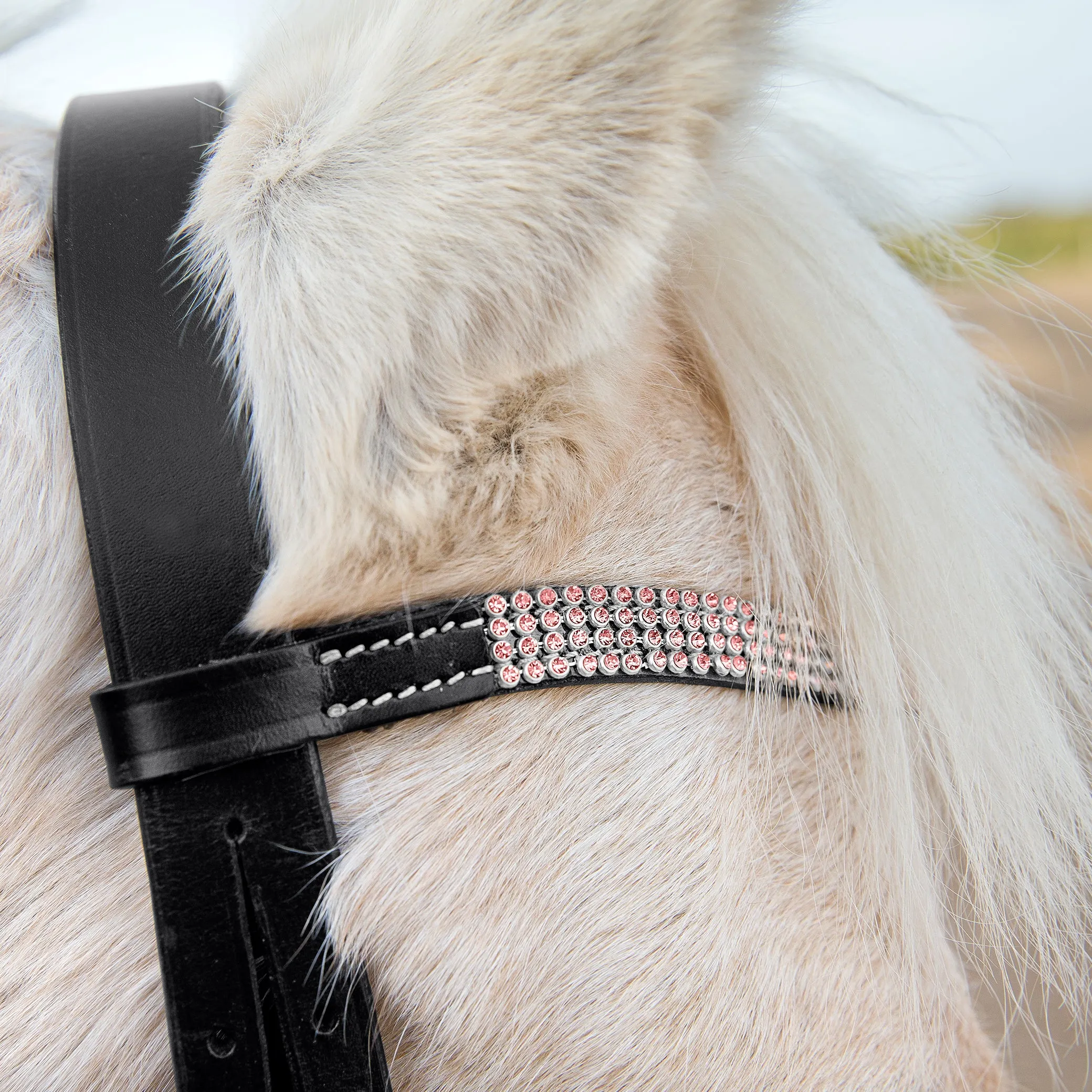 Horze Pony Bridle Black & Pink