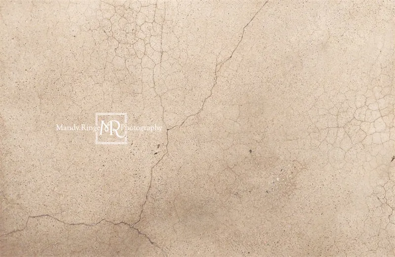Kate Worn Cracked Terrazzo Backdrop Designed by Mandy Ringe Photography
