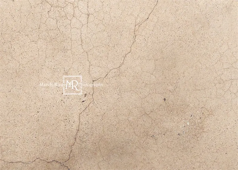Kate Worn Cracked Terrazzo Backdrop Designed by Mandy Ringe Photography