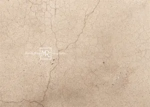 Kate Worn Cracked Terrazzo Backdrop Designed by Mandy Ringe Photography