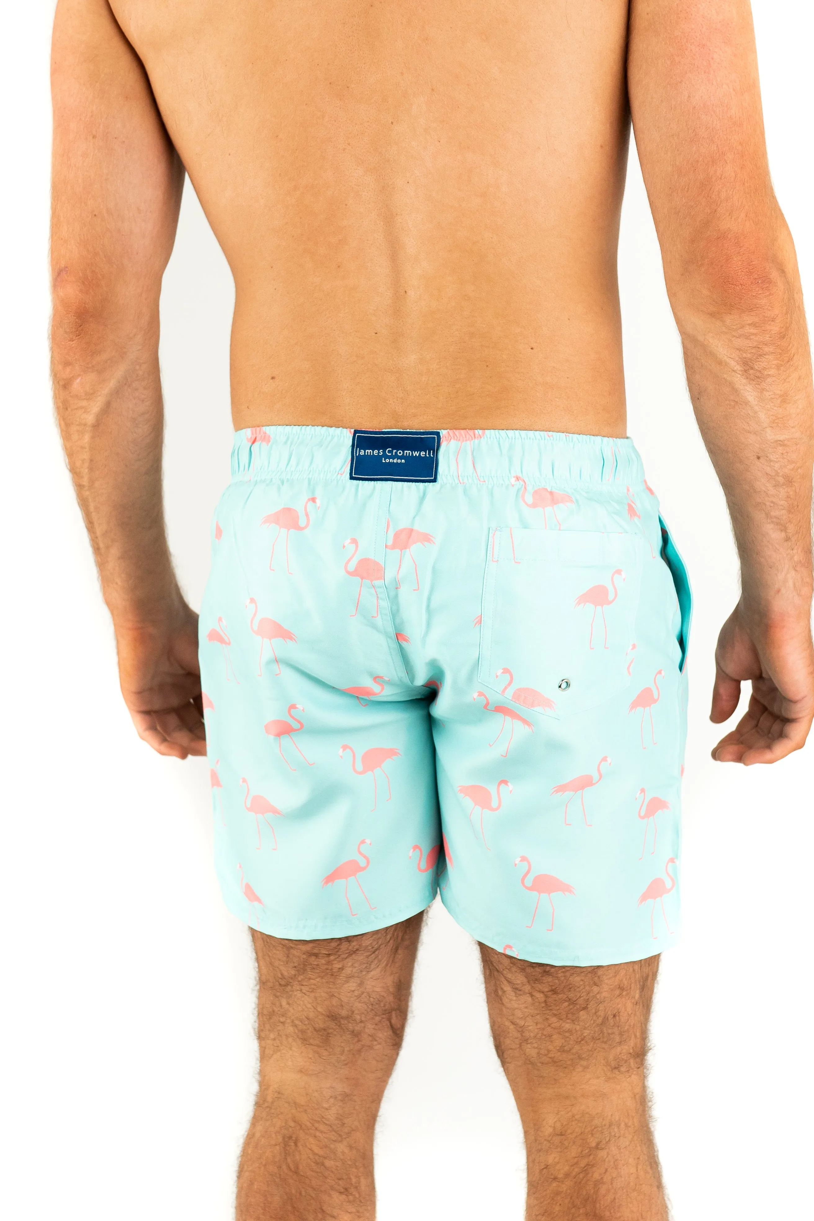 Light Blue Bold Flamingo