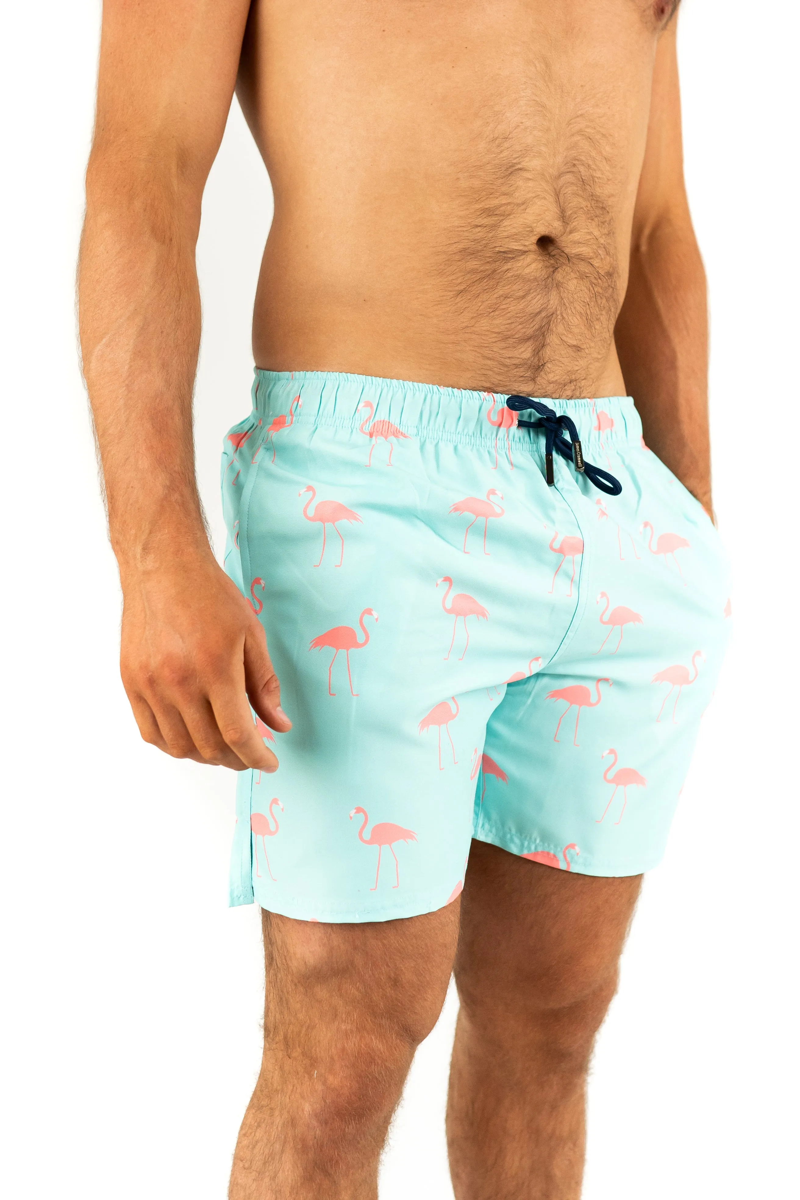 Light Blue Bold Flamingo