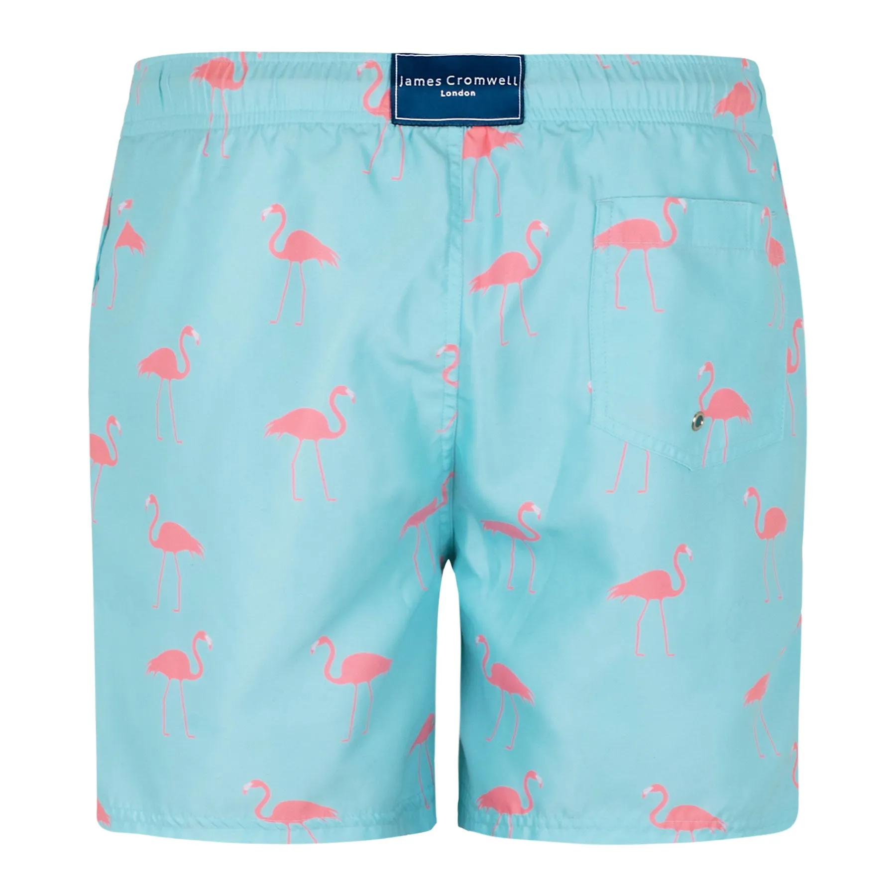 Light Blue Bold Flamingo