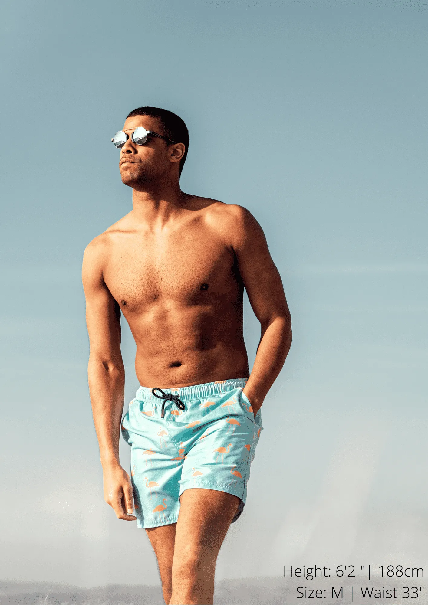 Light Blue Bold Flamingo
