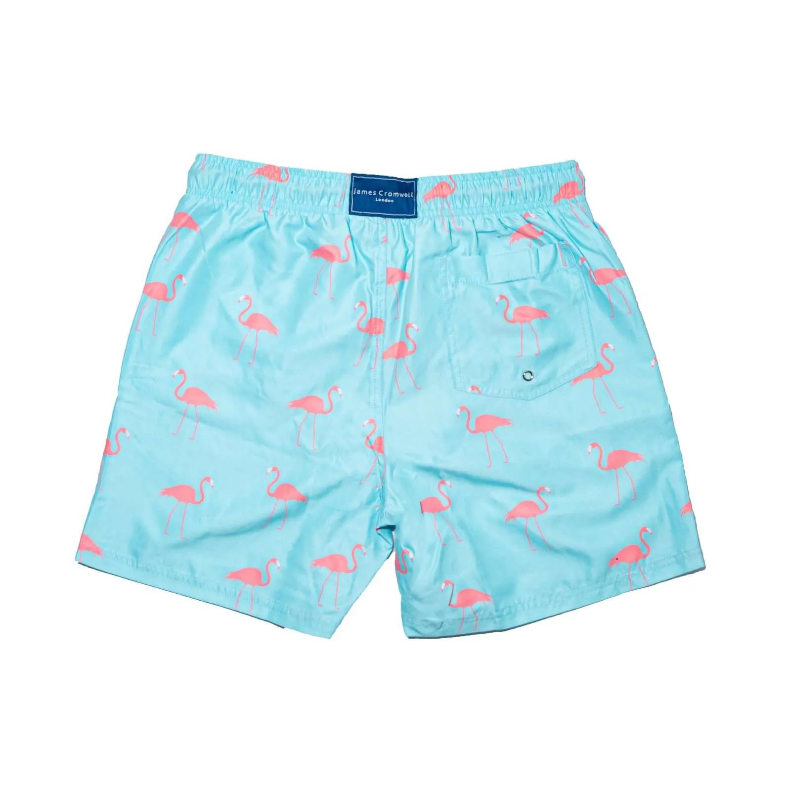 Light Blue Bold Flamingo