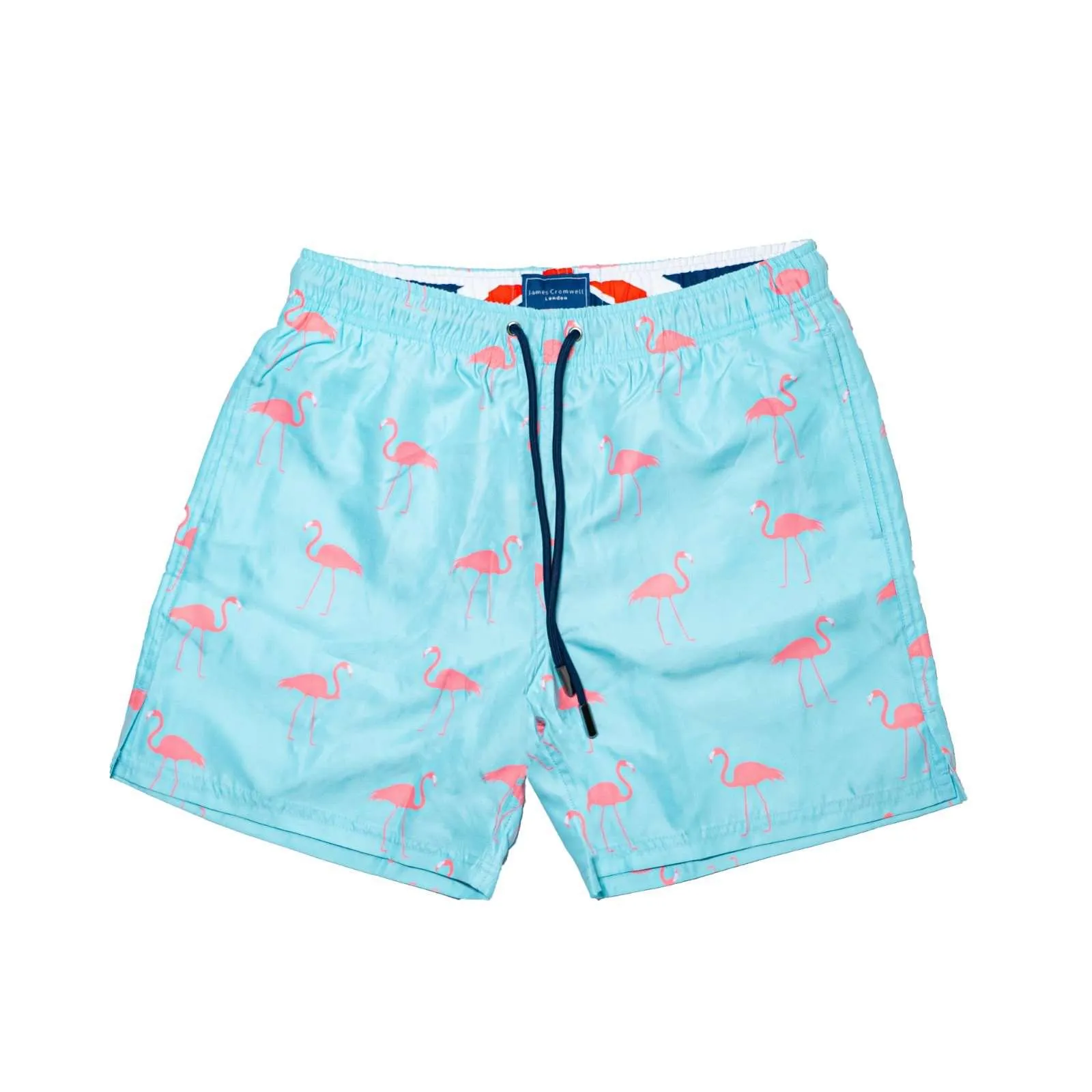 Light Blue Bold Flamingo