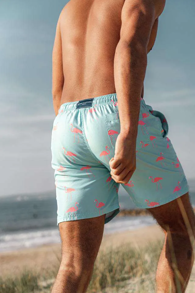 Light Blue Bold Flamingo