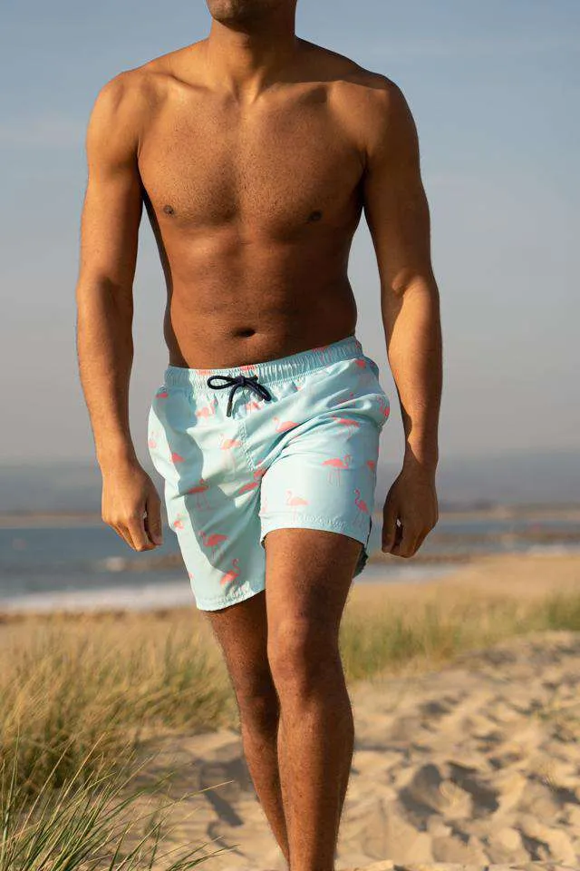 Light Blue Bold Flamingo
