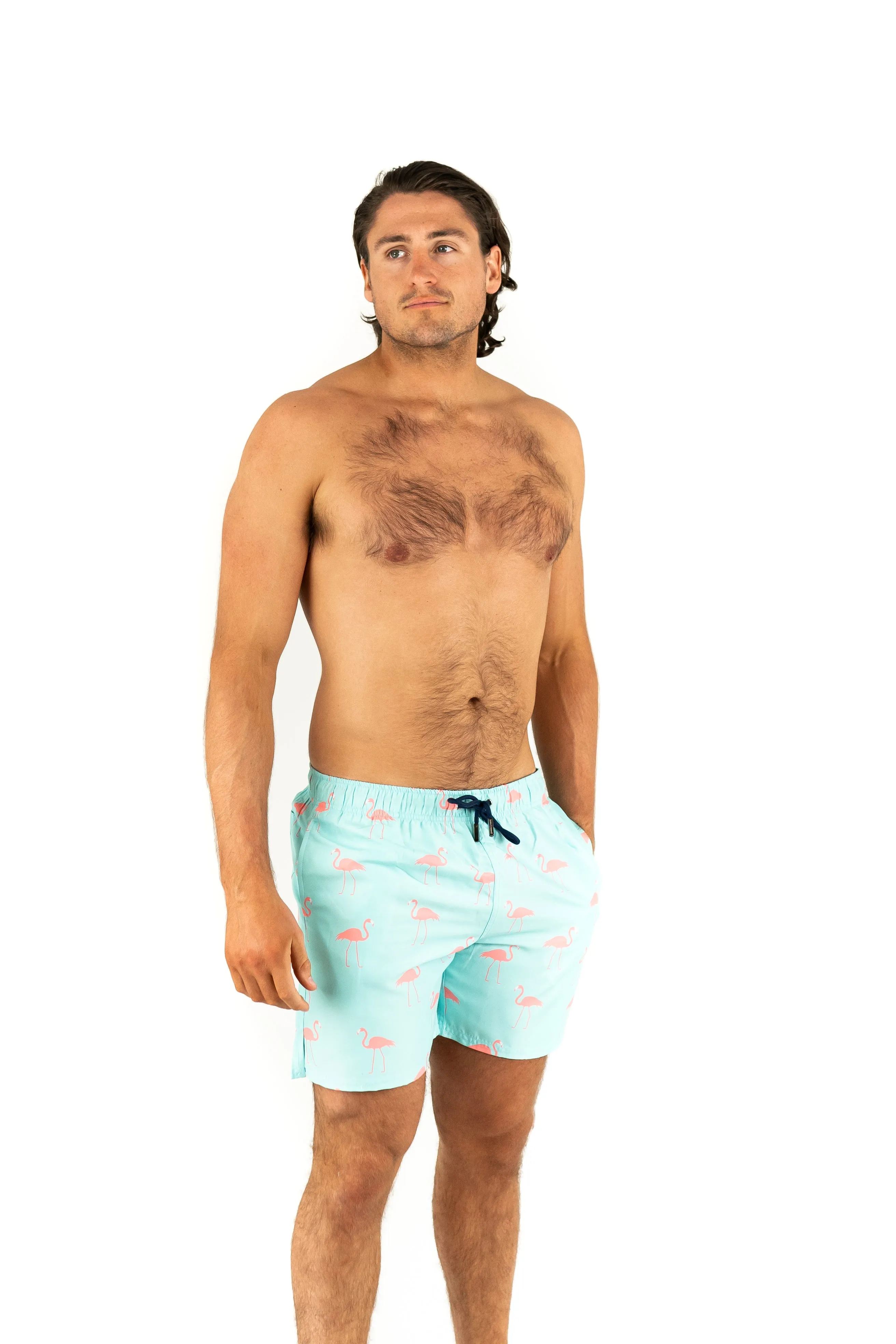Light Blue Bold Flamingo