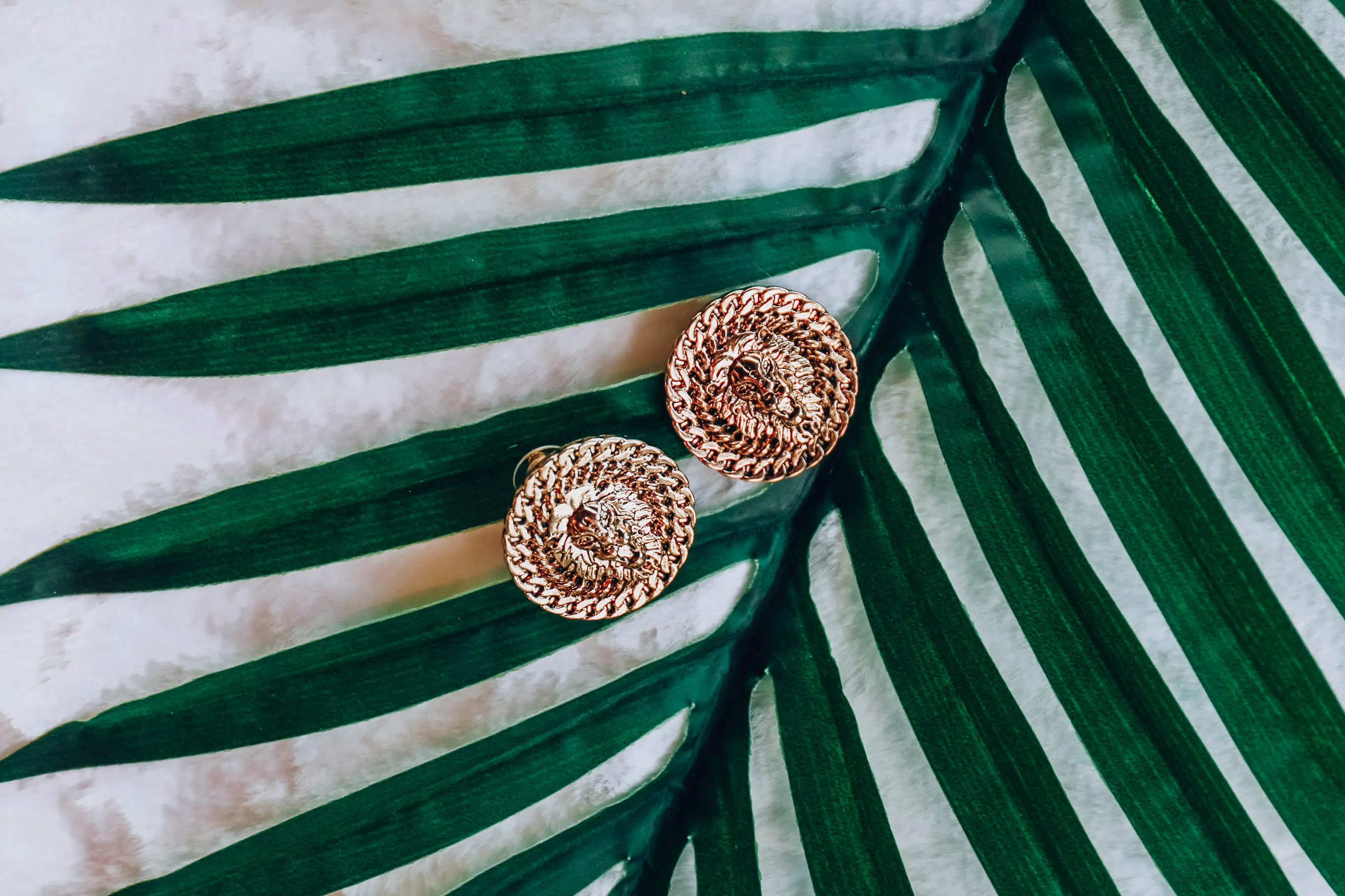 Lion Coin Earrings