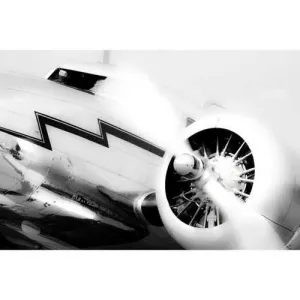 Lockheed 12 Steven Greenwald Print