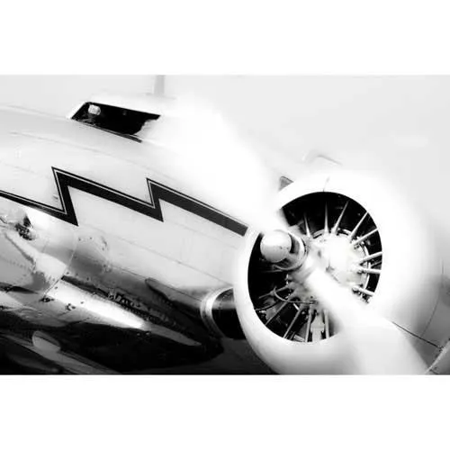 Lockheed 12 Steven Greenwald Print