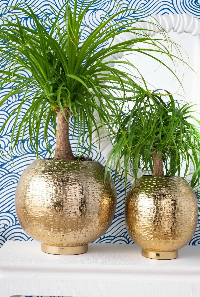 Mali Medium Cache Pot / Brass