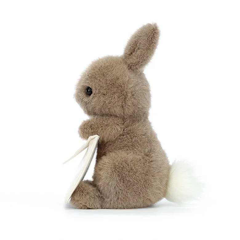 Messenger Bunnie