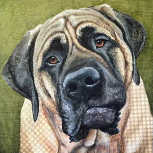 Mulson - Mastiff
