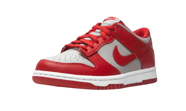 Nike Dunk Low "UNLV" (Worn)