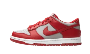 Nike Dunk Low "UNLV" (Worn)