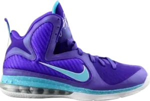 NIKE LEBRON 9 (WORN)