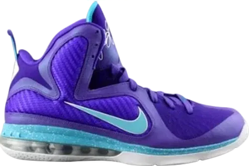 NIKE LEBRON 9 (WORN)