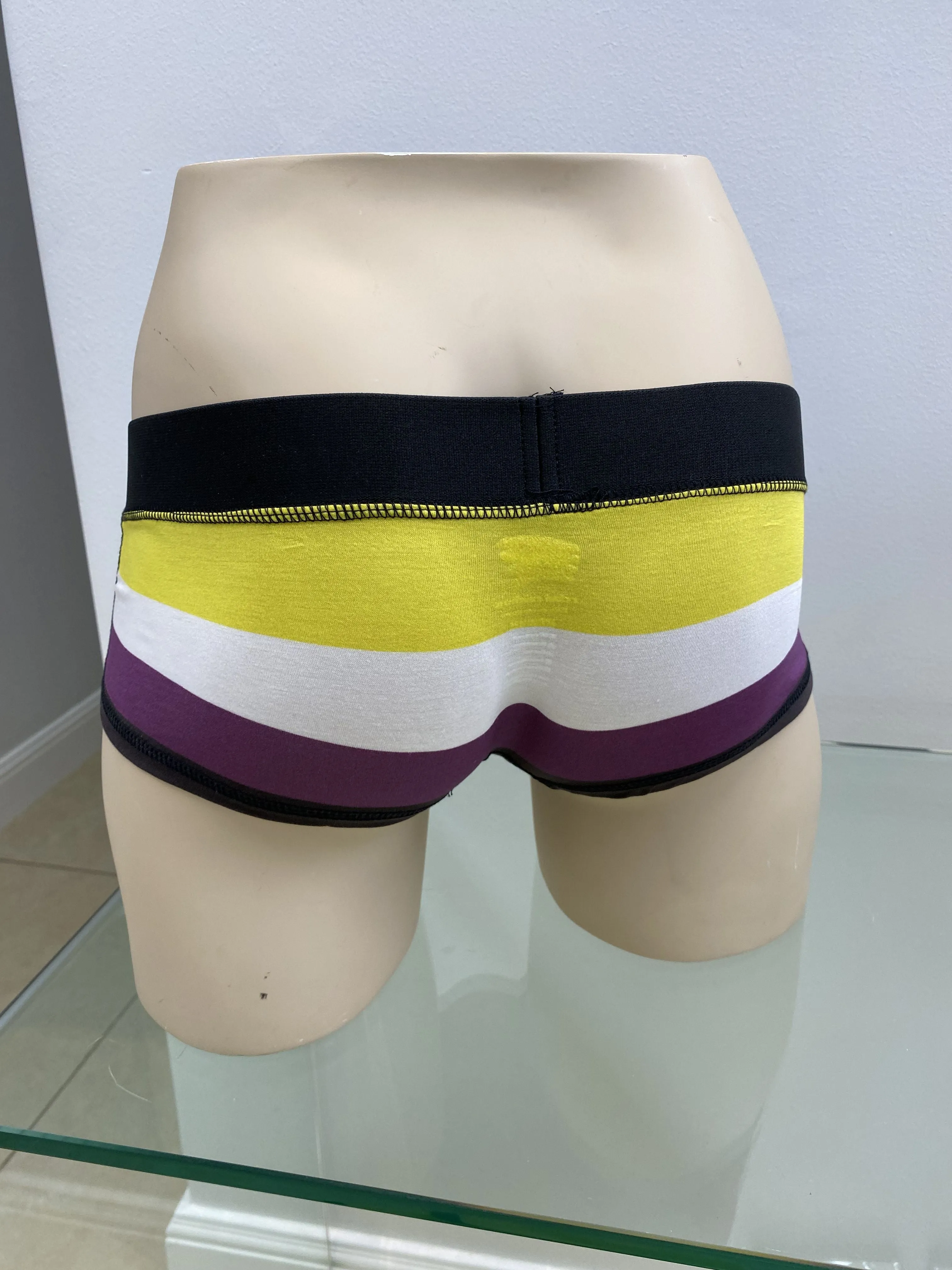Non Binary Flag Briefs