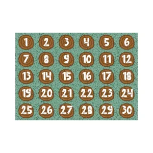 Number Logs Learning Rug