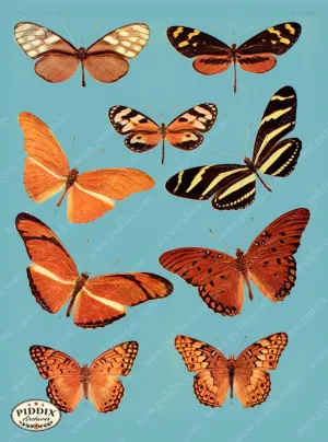 PDXC4165 -- Bright Butterflies