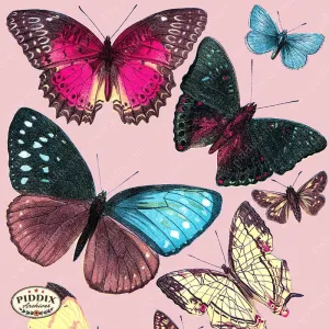 PDXC4180b & c -- Bright Butterflies