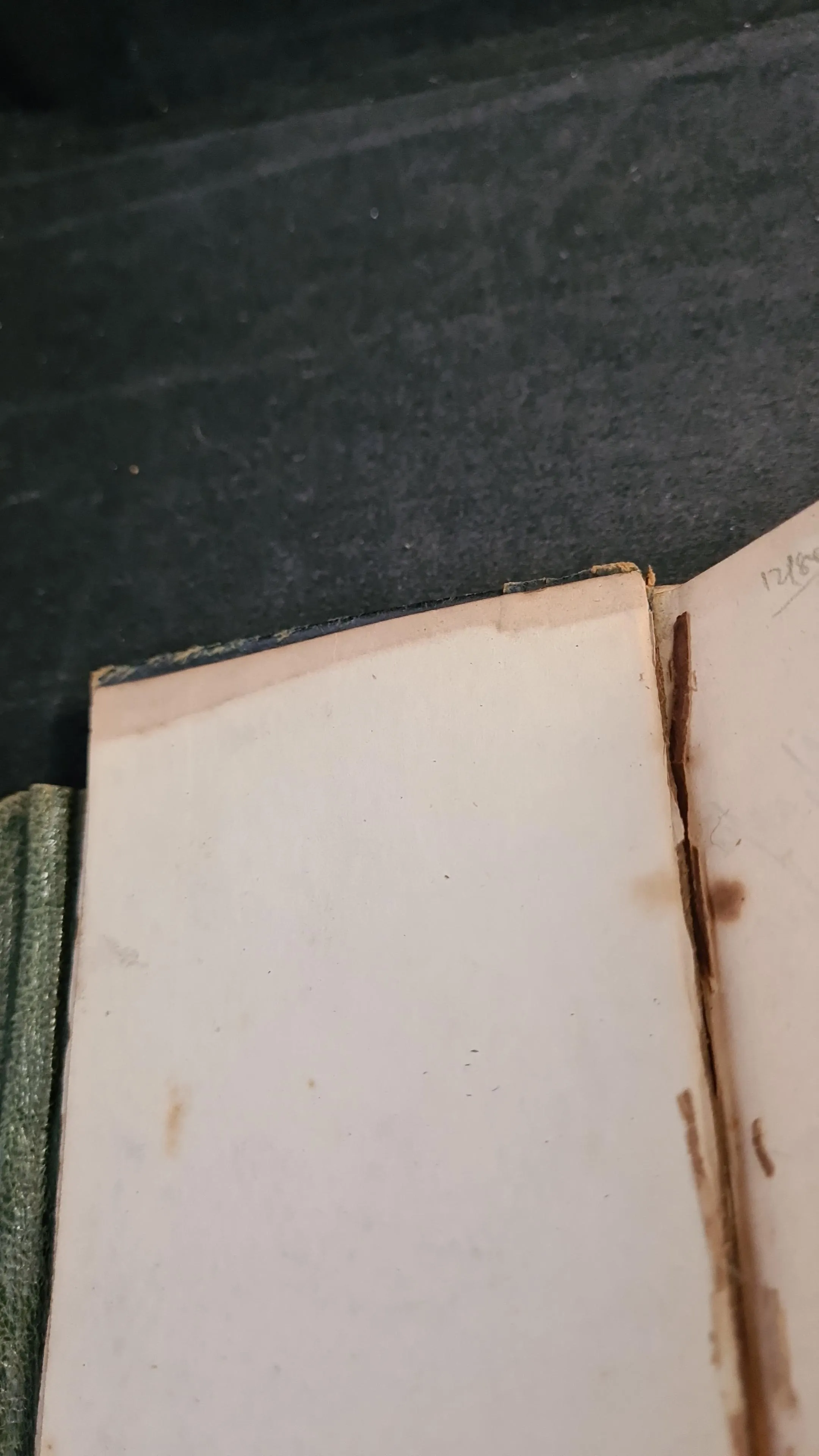 Punch's Pocket Book for 1872