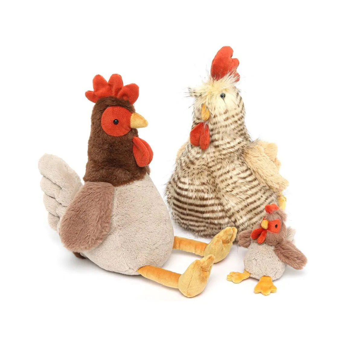 Randy the Rooster