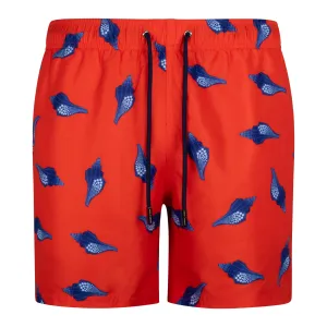 Red Bold Shells