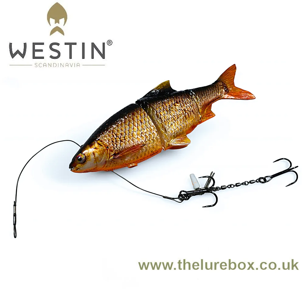 Ricky The Roach Inline Sinking - 20cm