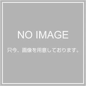Ridgid 38682 Dies, R200 1/4 BSPT